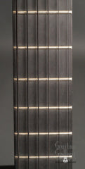 Rainsong SMH guitar fretboard