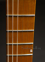 Marchione solid body electric guitar fretboard