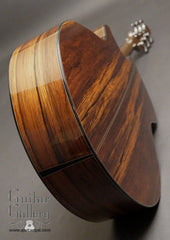 Strahm Madagascar Rosewood Eros Guitar