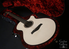 Strahm Eros guitar in custom flight case