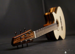 Strahm Eros guitar glam shot