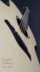 Strahm Eros guitar