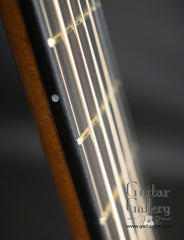 Vines SX cutaway guitar fretboard side