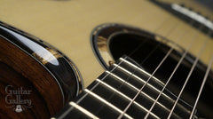 Tony Vines SX guitar cutaway