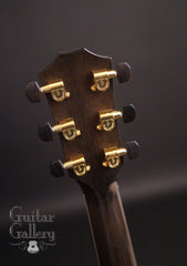 Taylor DDSM black guitar tuners