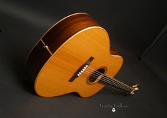 Ted Thompson T1 Dlx guitar glam shot