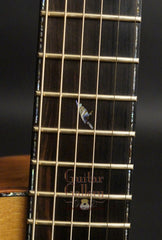 Laurie Williams guitar fretboard