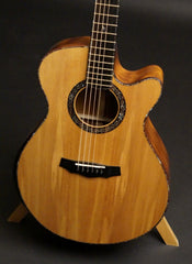 Laurie Williams Tui guitar