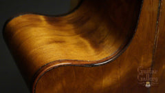 Laurie Williams Whitebait Tui Guitar detail