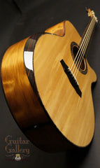 Laurie Williams Whitebait Tui Guitar w bevel