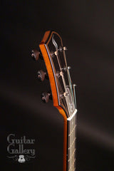 Vince Gill guitar by Rod Schenk tuners