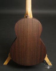 Sheeran W02 Indian rosewood back