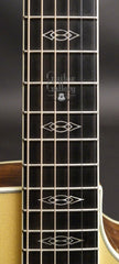 Taylor W10-ce guitar fretboard