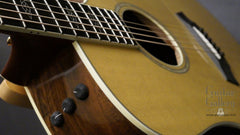 Taylor W10-ce guitar