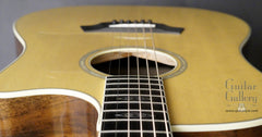 Taylor W10-ce guitar