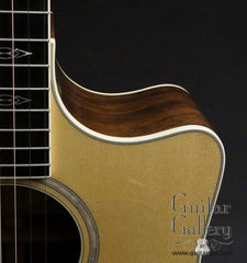 Taylor W10-ce guitar cutaway