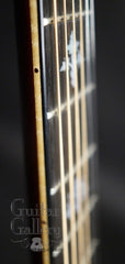 John Walker guitar fretboard