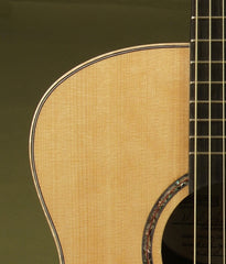 Langejans guitar