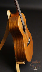 Andrew White Signature Series guitar side