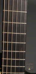 Wingert Guitar: Model F cutaway Fan Fret
