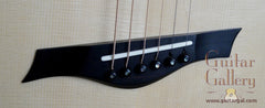 Wingert Guitar: Model F cutaway Fan Fret