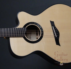 Wingert Guitar: Model F cutaway Fan Fret