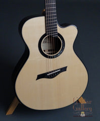 Wingert Guitar: Model F cutaway Fan Fret