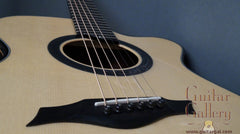 Wingert Guitar: Model F cutaway Fan Fret