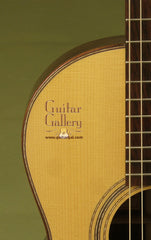 Sexauer Guitar: Brazilian Rosewood 0-12