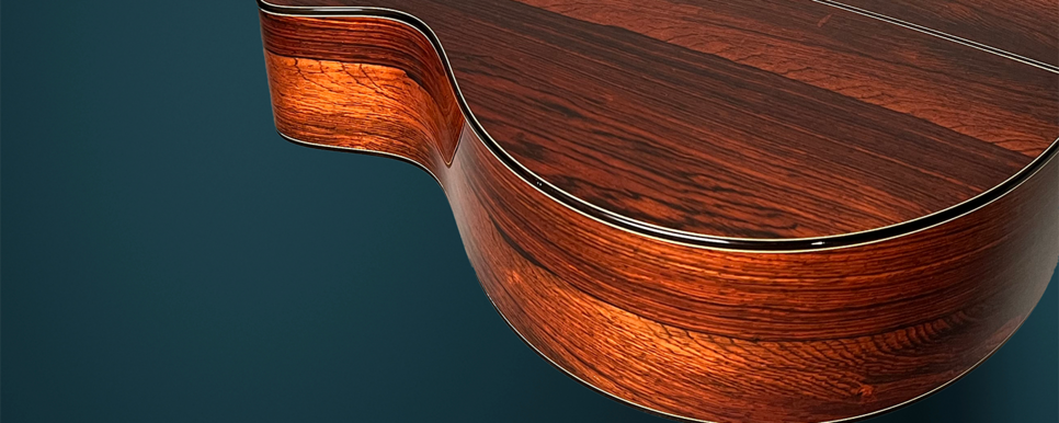 Guitar Gallery